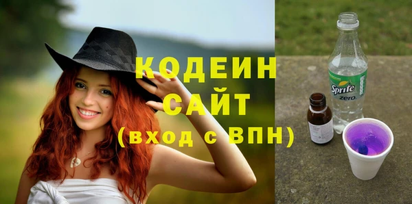 прущая мука Вяземский