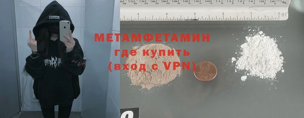 прущая мука Вяземский