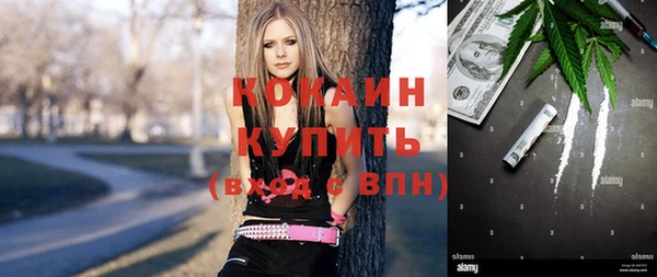 прущая мука Вяземский