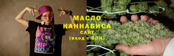 прущая мука Вяземский